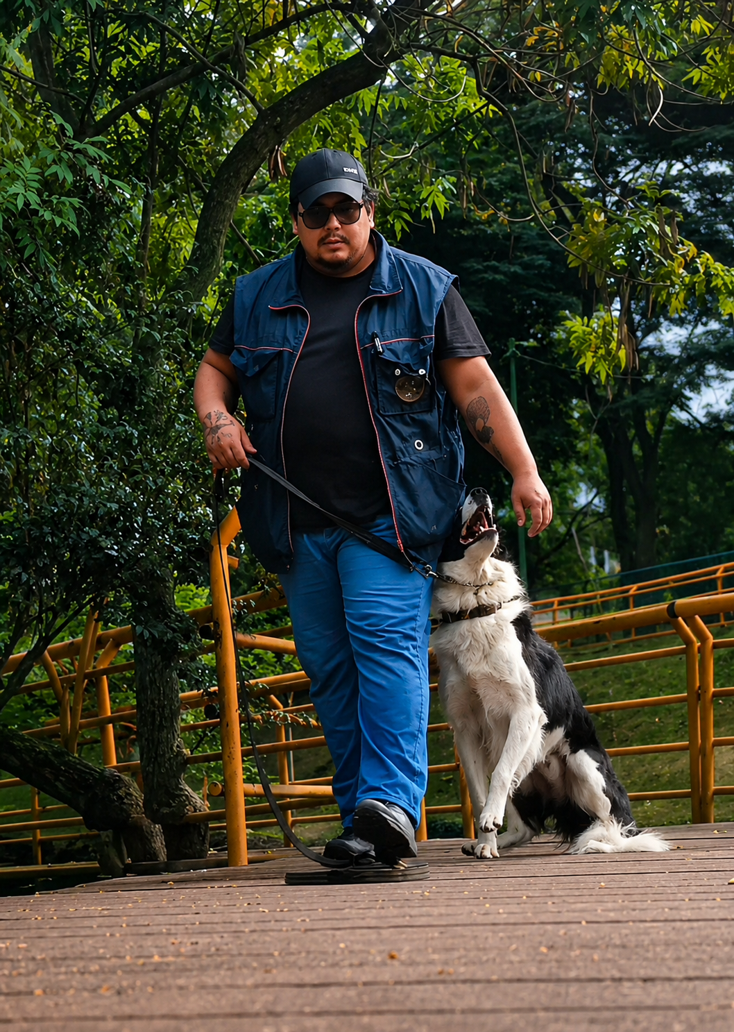 Trabalho profissional 8