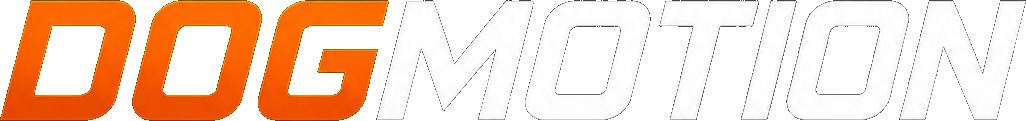 DogMotion Consultoria