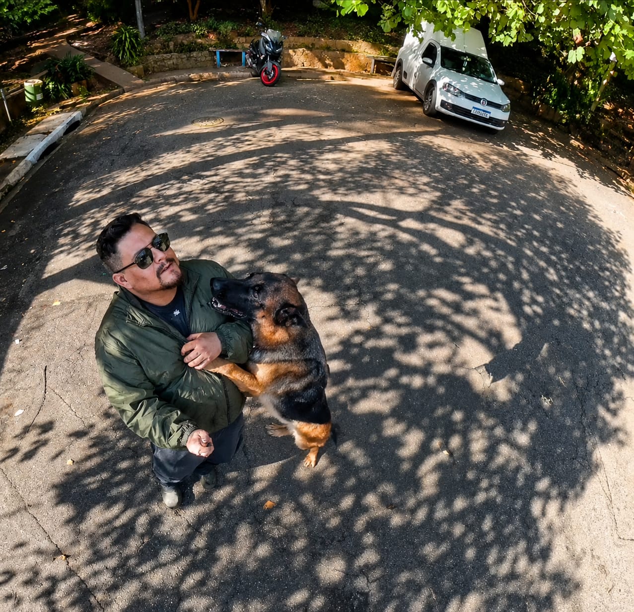 Luna · Malinois